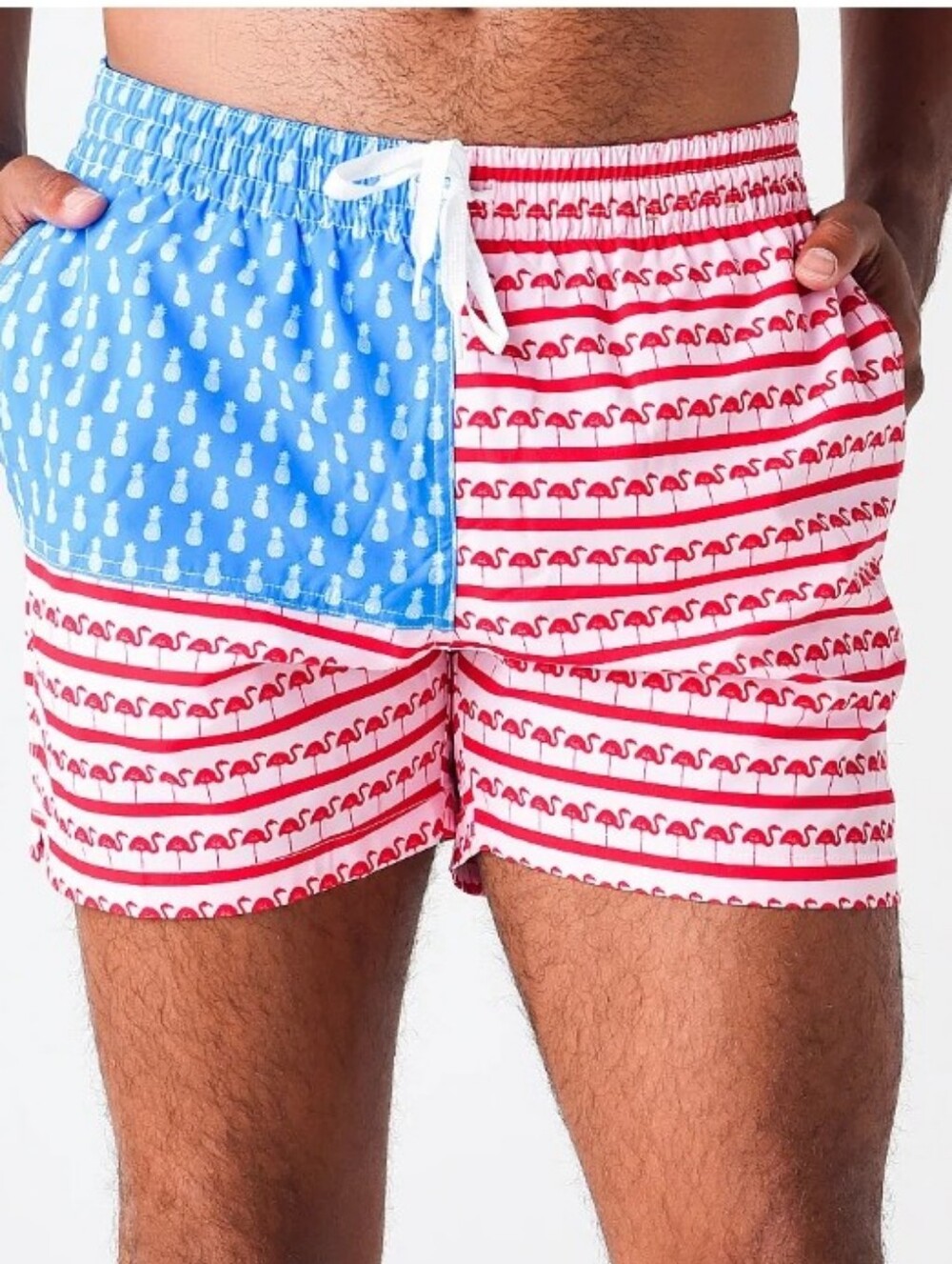 Chubbies The Fruited Plains Men's Swim Trunks
